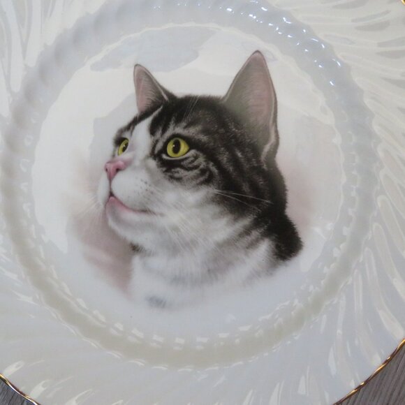 Royal Staffordshire Bone China CAT Plate Gold Rim Vintage (F69) - Picture 3 of 6
